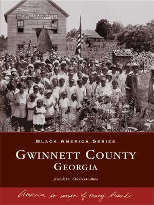 cover image of Gwinnett County